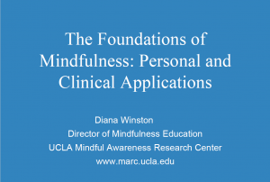 Diana Winston – The Foundations of Mindfulness: Personal and Clinical Applications