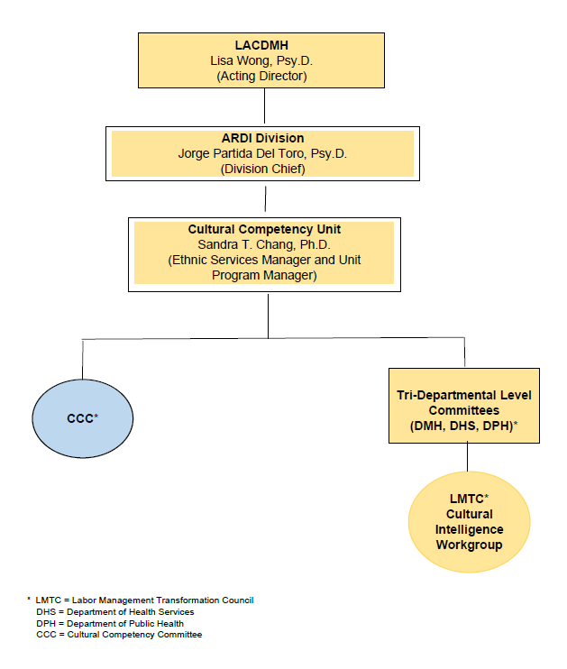 Racial and ethnic differences in perception of provider cultural