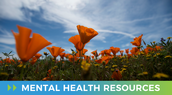 Link to Take Action for Mental Health LA County
