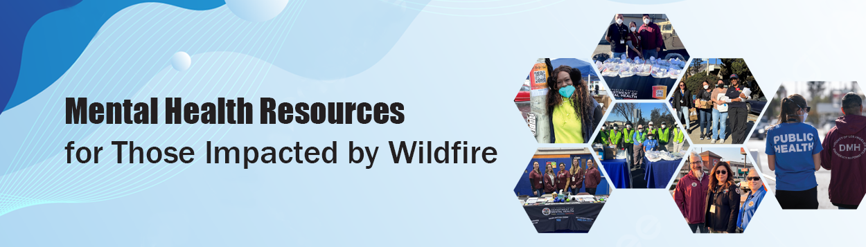 Wildfires_Banner