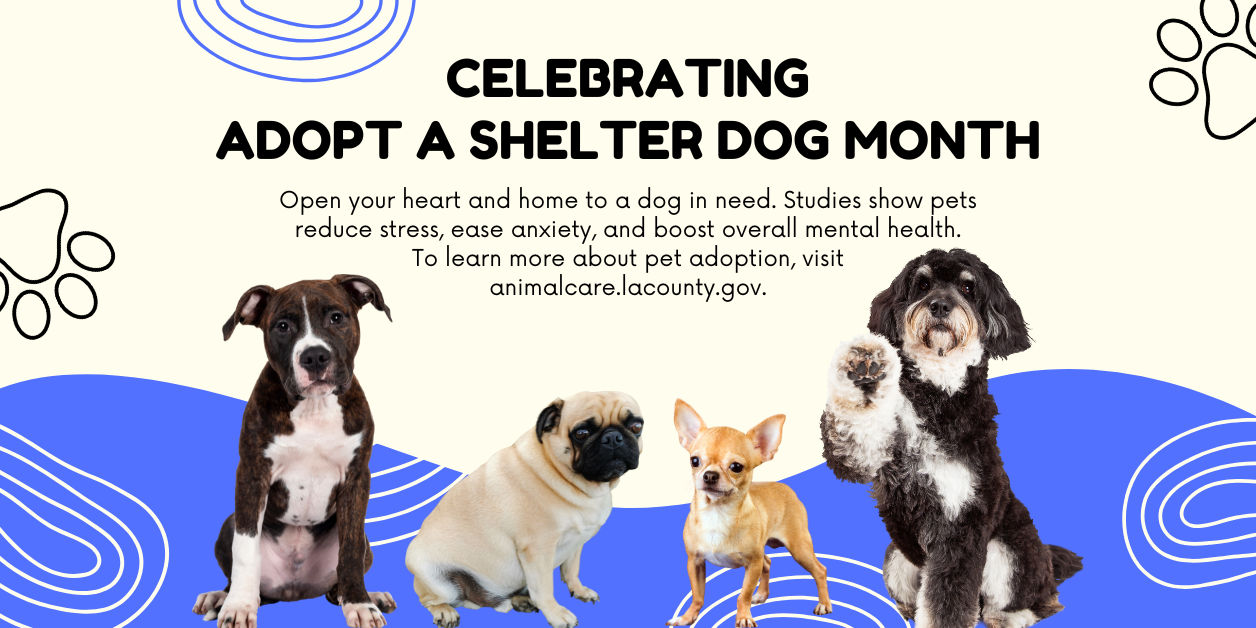 Celebrating Adopt a Shelter Dog Month